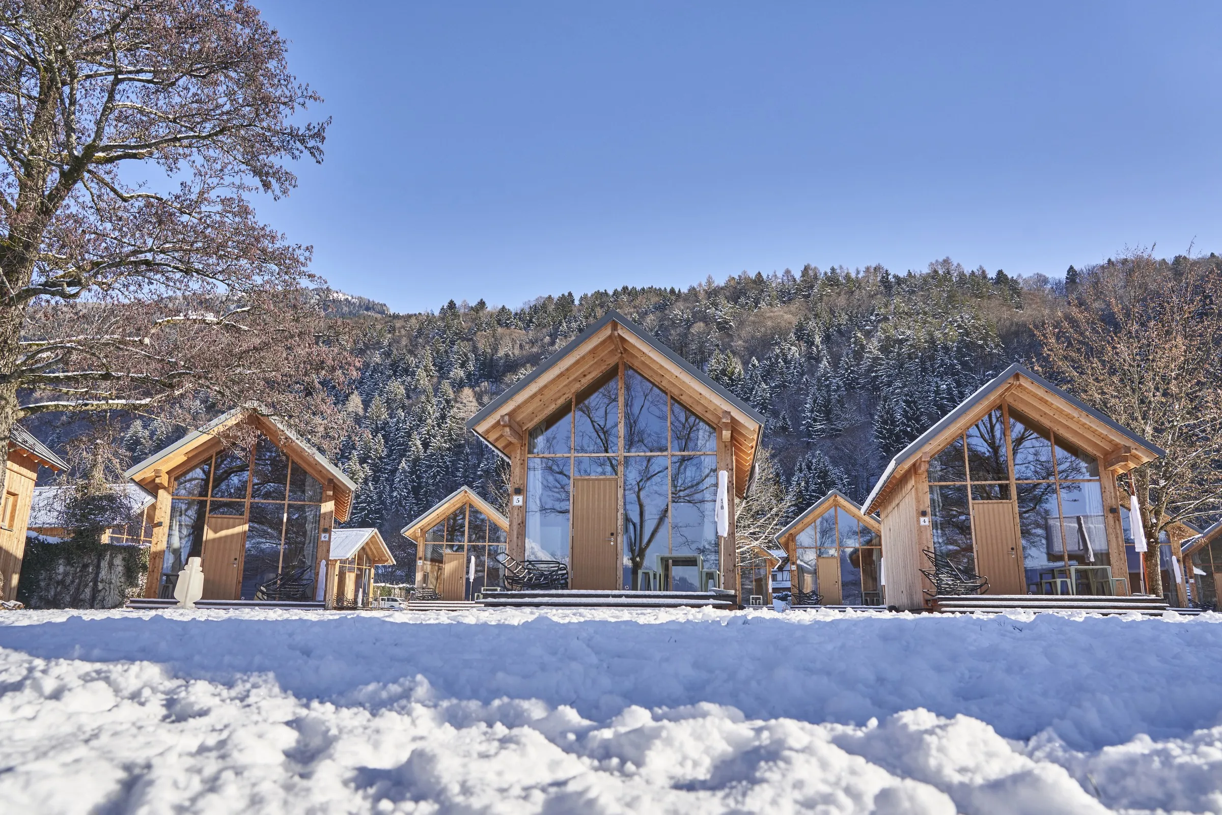 Eco Lodges pozimi v snegu