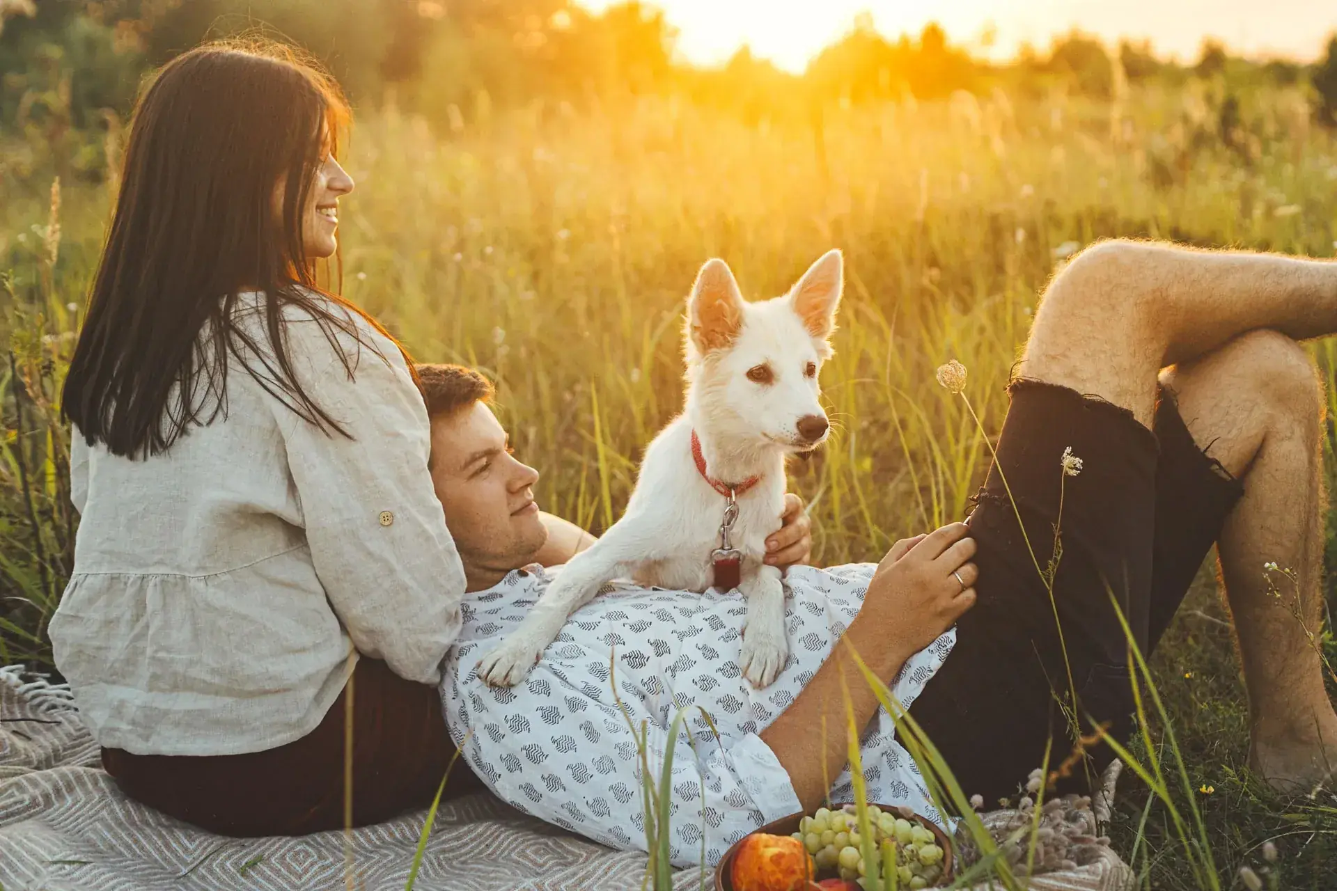 Coppia con cane su un prato di montagna al tramonto